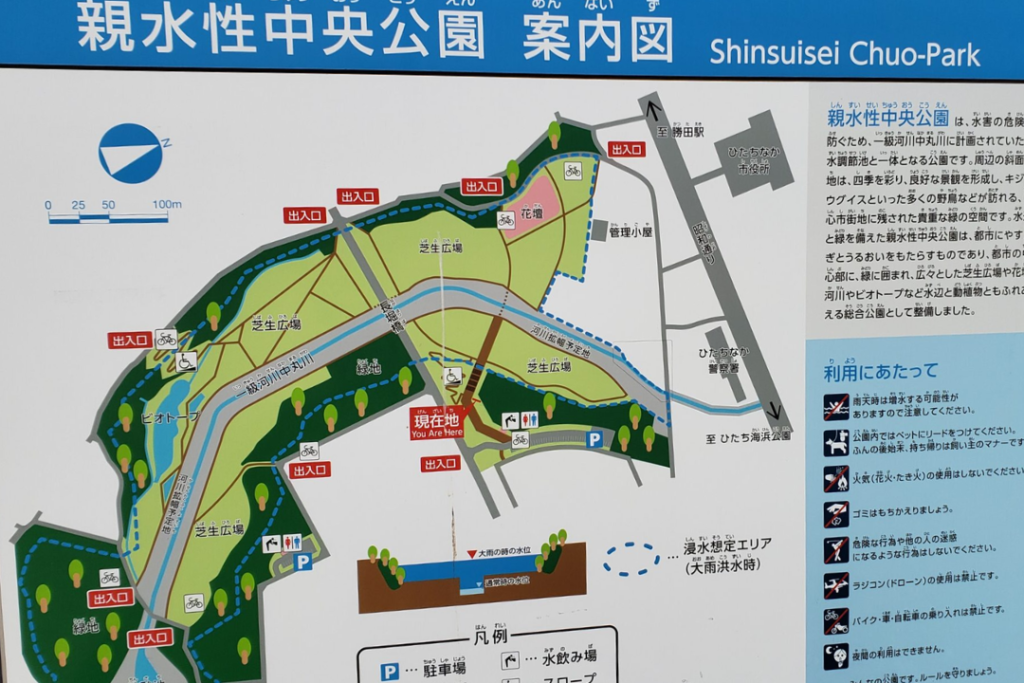 親水性中央公園