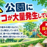 公園のきのこに注意