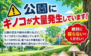 公園のきのこに注意